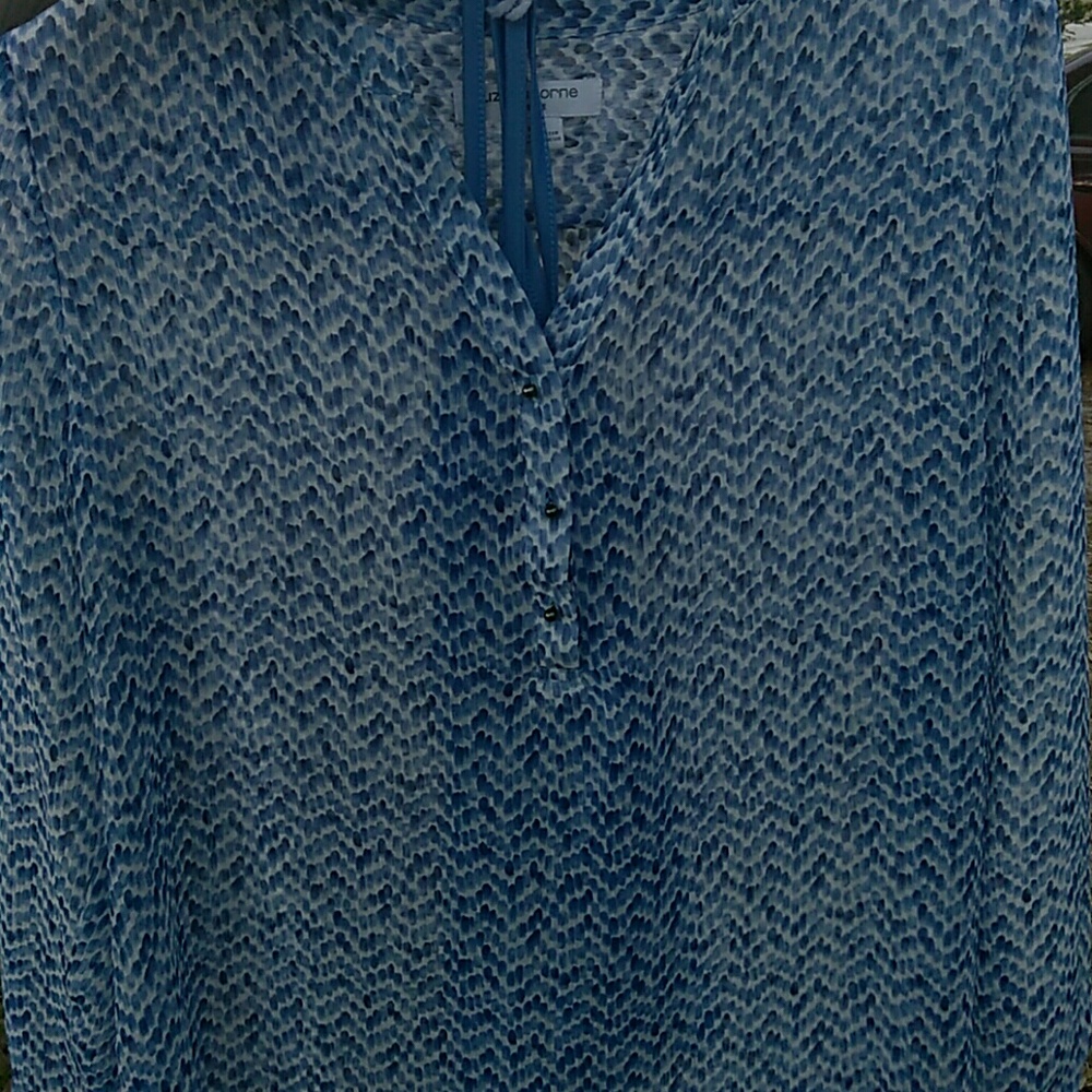 Long sleeve sheer blouse